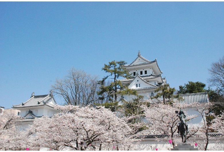 🏯 오가키 성 이미지 1